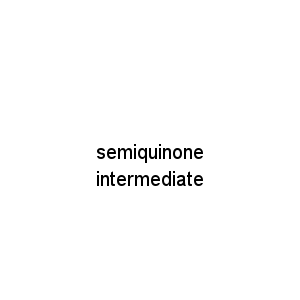 semiquinone intermediate